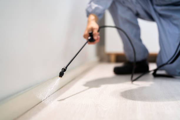 Licensed Pest Control service in Richfield, MN - Show Me Pest Control