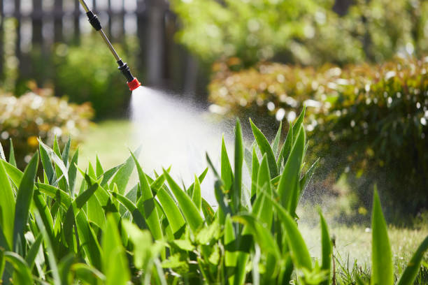 24/7 Emergency Mosquito Control experts in Richfield, MN